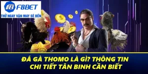 đá gà thomo ảnh đại diện