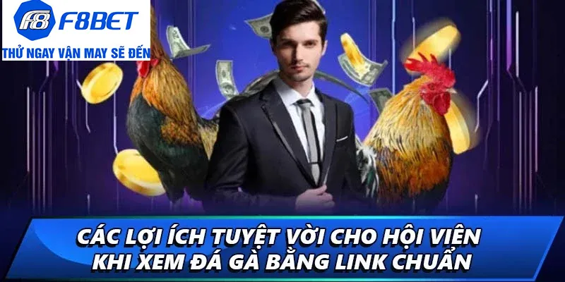 ưu điểm link đá gà chuẩn